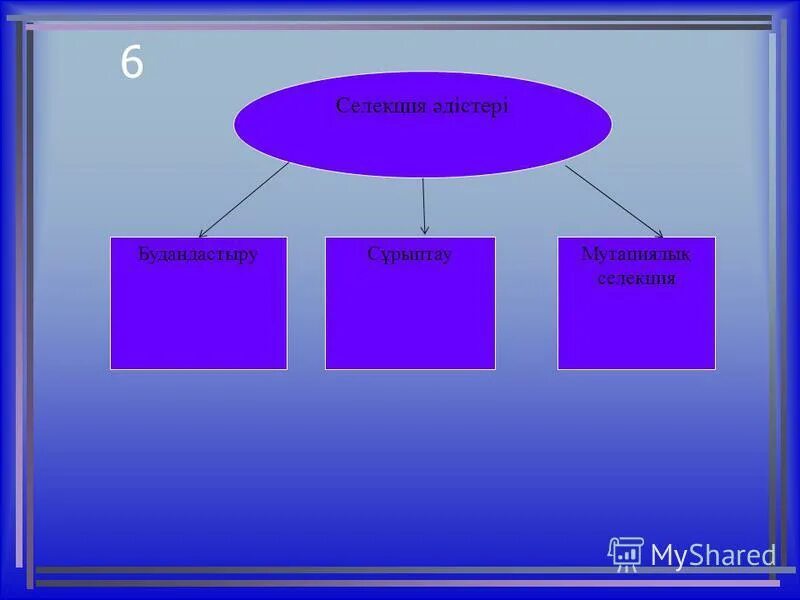 Сұрыптау 9 сынып. Селекция дегеніміз. Селекция кластер. Селекция деген.