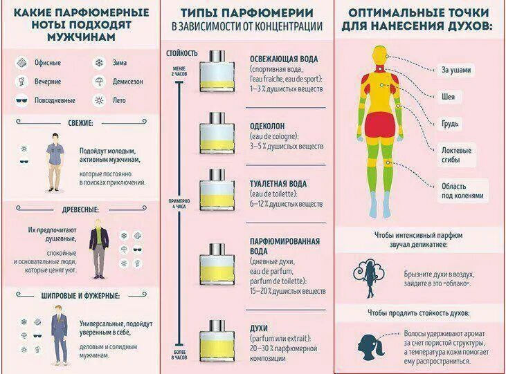 Не держатся духи. Места для нанесения парфюма. Зоны для нанесения духов. Места нанесения парфюма для мужчин. Куда наносить духи мужчине правильно.