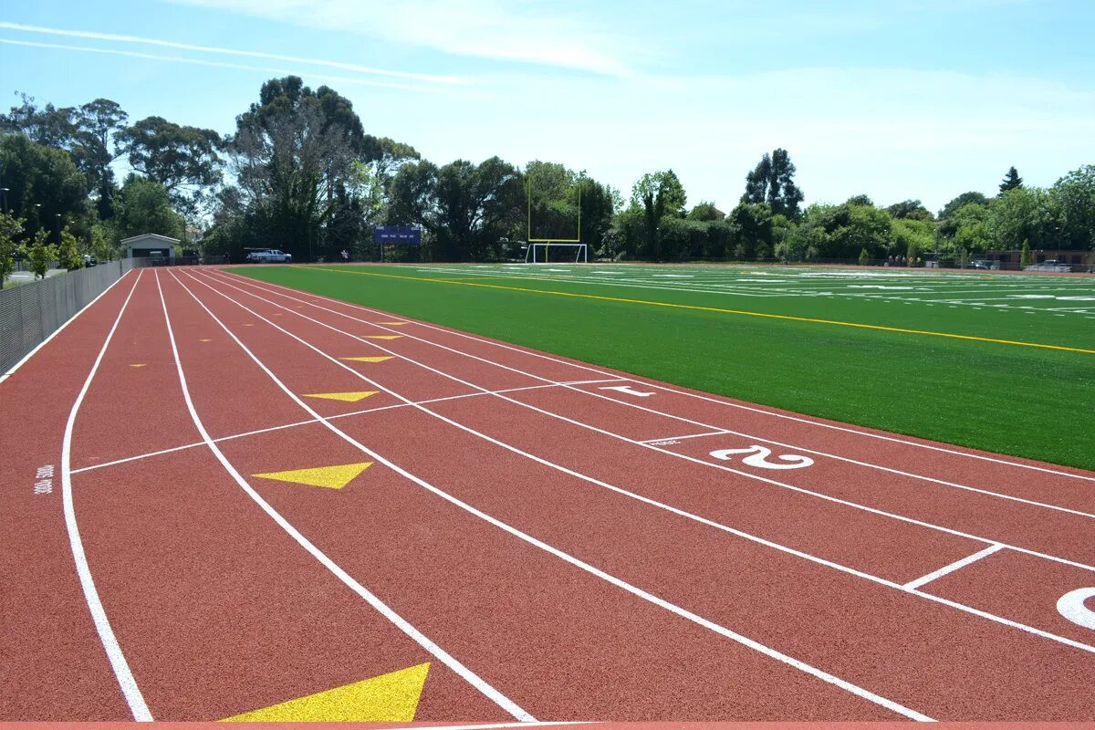 Sports fields. School Sports field. Sport field at School. Sport field