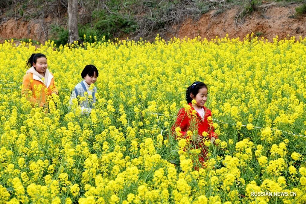 каждую весну жители китая. каждую весну жители китая. жители китая. каждую весну жители китая. толпа китайцев.