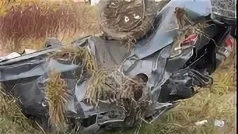 Погода олонец норвежский сайт