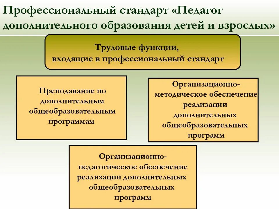 Преподаватели дополнительного профессионального образования. Профессиональный стандарт педагога дополнительного образования. Профстандарт педагога. Профстандарт педагога дополнительном. Особенности работы педагога дополнительного образования детей.