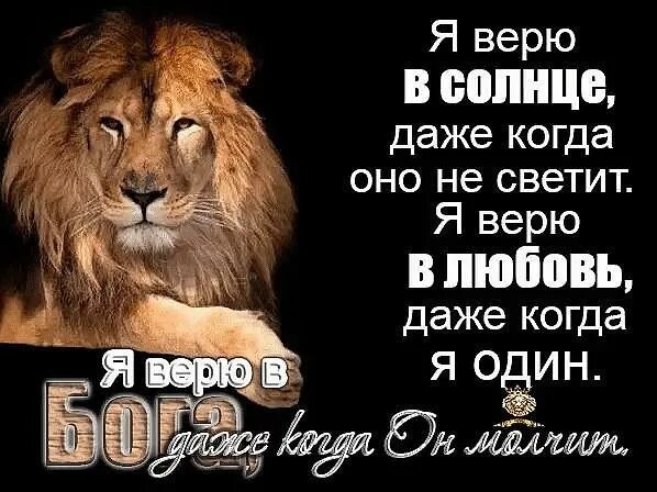 Я верю в любовь. Не верю в любовь. Я не верю в любовь. Больше не верю в любовь. Я позволила верить в любовь