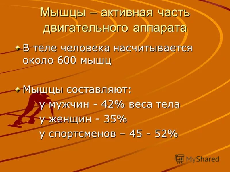 количество клеток в организме человека. в организме человека насчитывается около. мышц в теле человека около. в организме человека насчитывается около. у человека количество мышц насчитывает?.