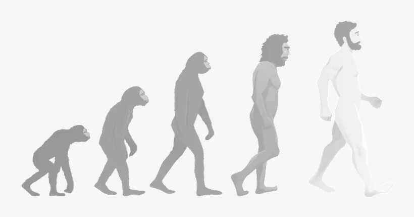 Жизни путем эволюции. Эволюция человека от обезьяны. Эволюция без фона. Эволюция человека от обезьяны до человека для детей. Происхождение человека от обезьяны.