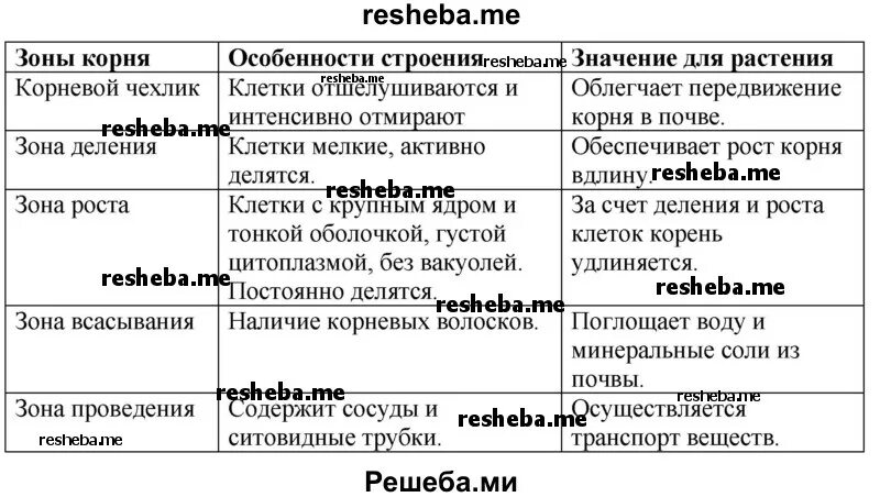 Европейская культура XIX в. Мировой литературный процесс