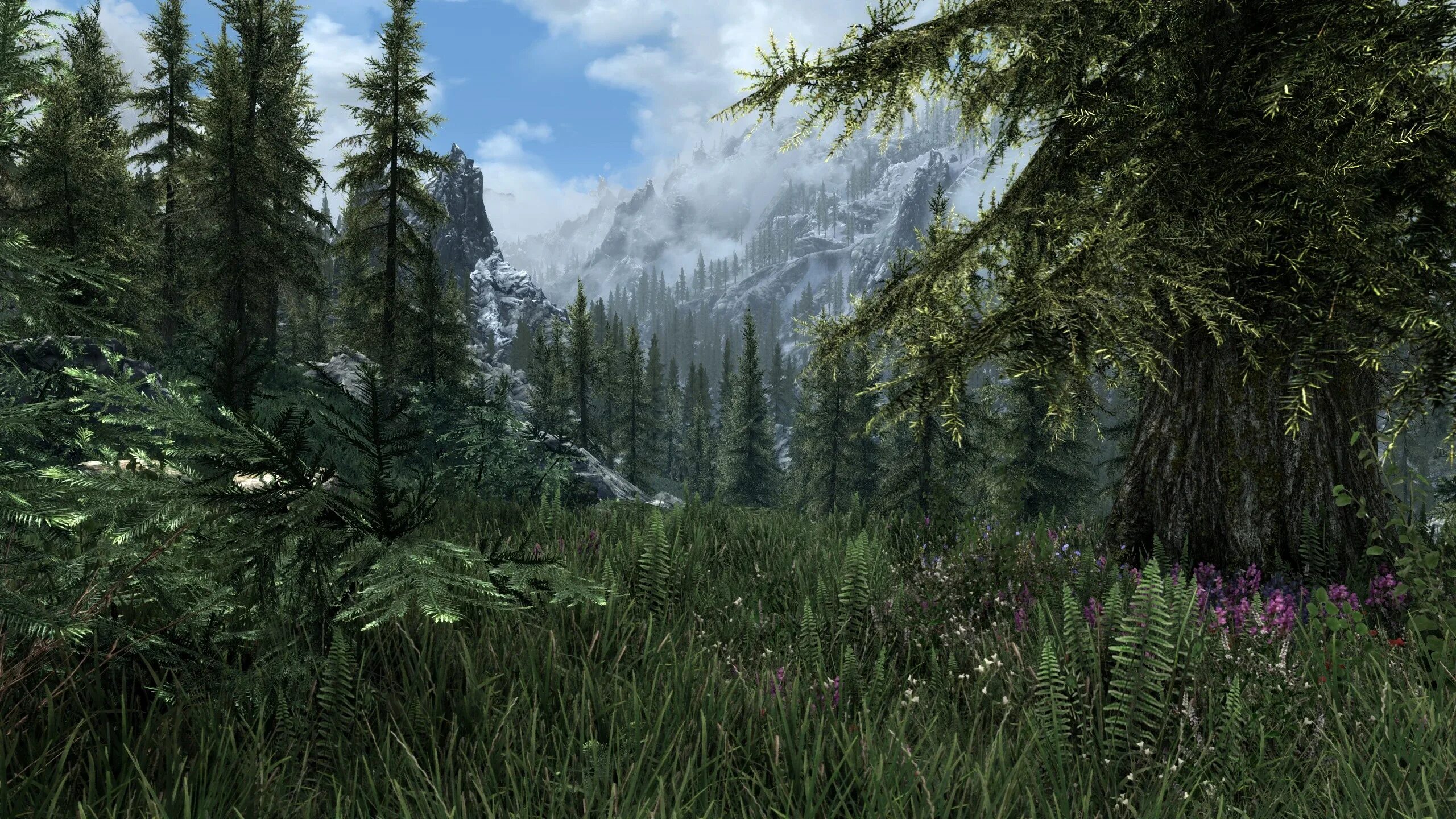 Skyrim nolvus моды