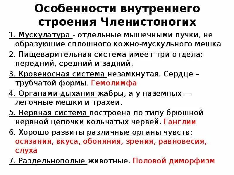 Характеристика класса членистоногие. Общая характеристика членистоногих. особенности внутреннего строения членистоногих. основные черты типа членистоногие. общая характеристика членистоногих 7.