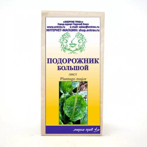 Настой листьев подорожника большого. Препараты из подорожника в аптеке. Подорожника большого листья препараты. Препараты с подорожником для кишечника. Лечение желудка подорожником