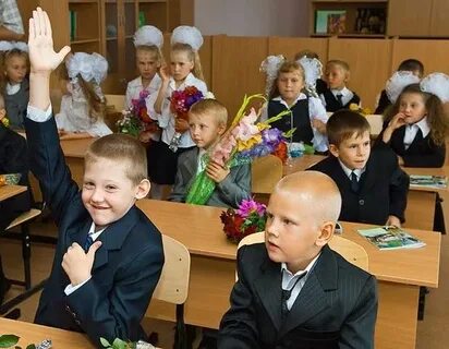 Ученики 1 д класса