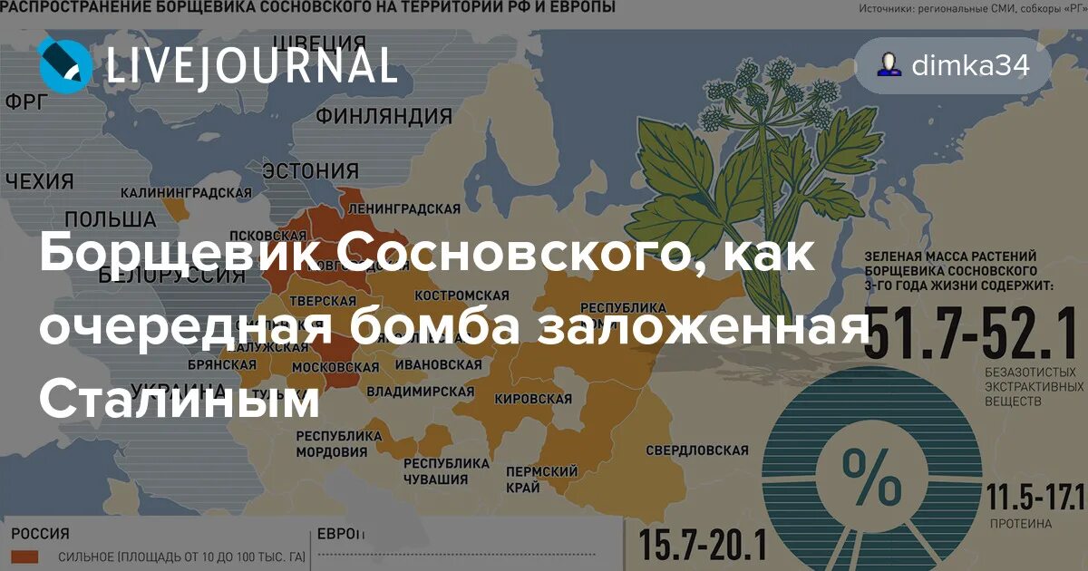 Карта распространения борщевика. Карта распространения борщевика сосновского. Борщевик сосновского карта. Карта борщевика сосновского. Карта борщевика сосновского.