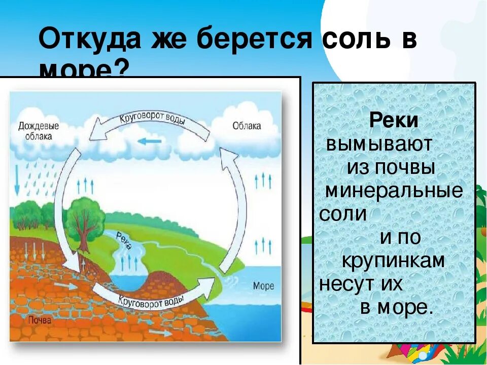 Почему вода в реке пресная. Откуда берется соль. Откуда берется вода в море. Откуда в море берется соль. Откуда берется соленая вода.