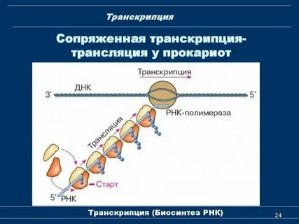 Какой размене