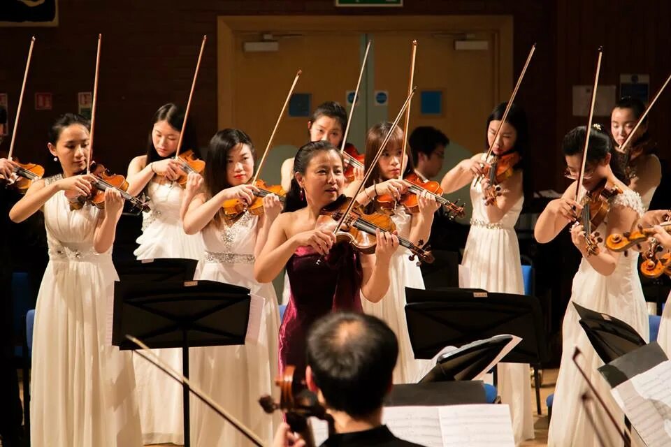 Первые скрипки в оркестре. Оркестр скрипачей. Скрипка в оркестре. BELCANTO Orchestra скрипка. Скрипка в оркестре фото.