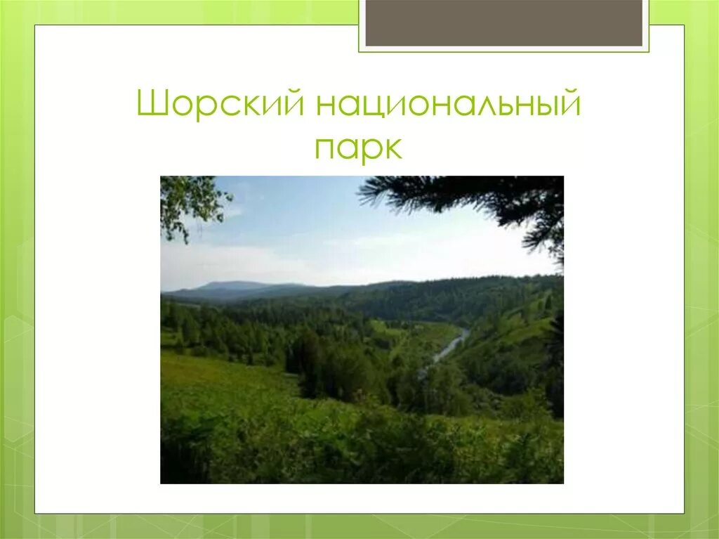 Шорский национальный парк на карте. Шорский национальный парк растения. Шорский национальный парк где находится. Шорский национальный парк таштагол. Животные шорского национального парка.