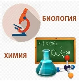 Огэ биология химический