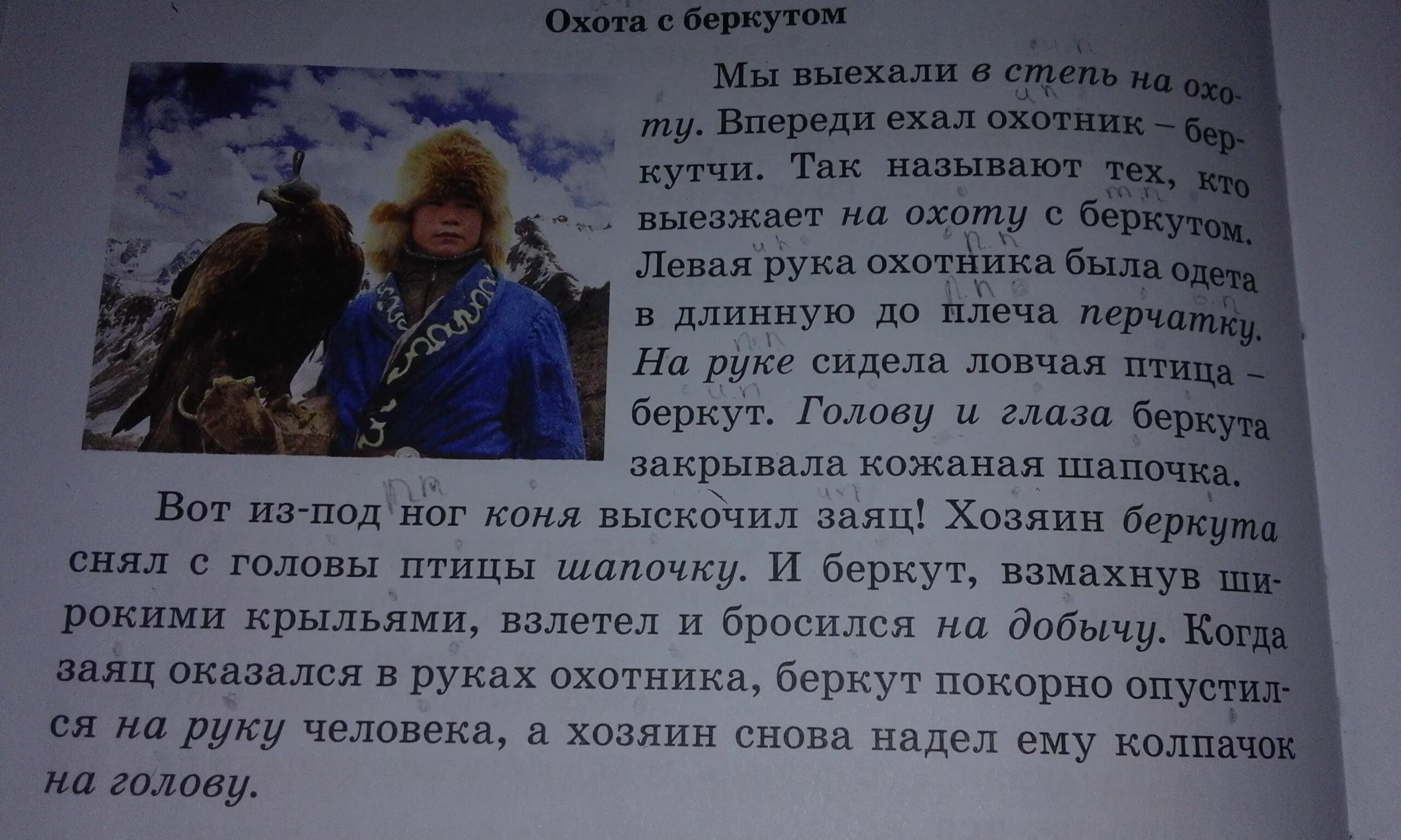Снять колпачок с головы беркута