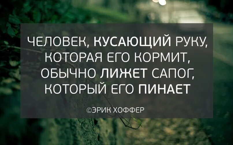 Бывший лижет. Рука которая кормит. Тот кто кусает руку которая его кормит. Человек кусающий руку которая его.