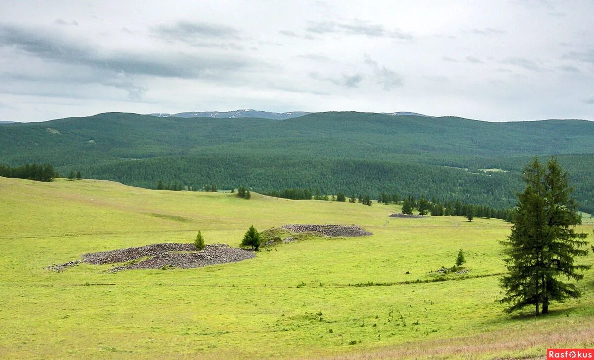 Пазырыкские Курганы на Алтае. Урочище Пазырык Алтай. Пазырыкские Курганы в Горном Алтае. Великие Пазырыкские Курганы (Алтай).