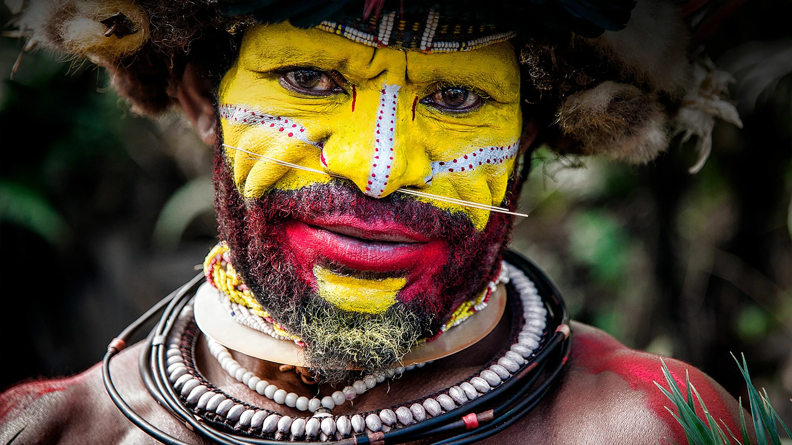 Папуа — новая Гвинея. Папуа новая Гвинея Папуасы. Папуасы новой Гвинеи. Аборигены Папуа новая Гвинея.