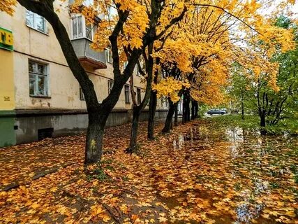 Осень иваново
