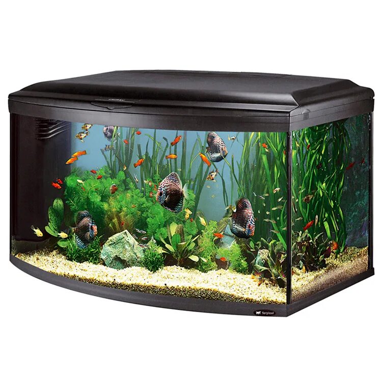 Аквариум креветочник 10 литров. Аквариум п. Красивые аквариумы. Красивые аквариумы. Система для аквариума.