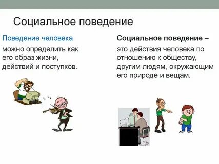Как распознать поведение человека