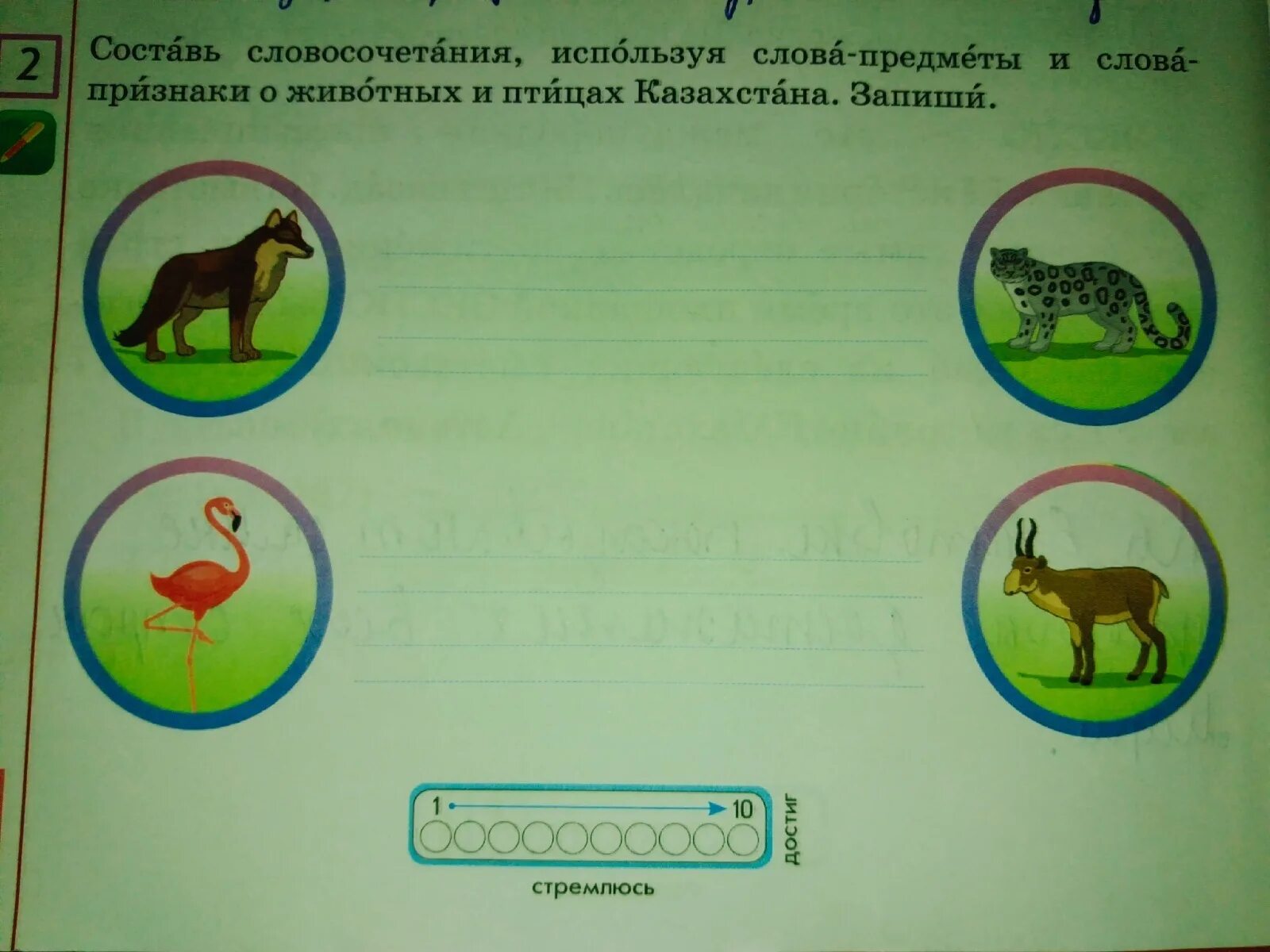 Представление ученые начинают звери составь предложение. Слова-признаки для животных. Составление словосочетаний о животных. Составь слова о животных. Задания творческие про слова предметы.