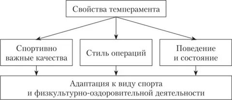 Свойства темперамента физиологическая основа темперамента