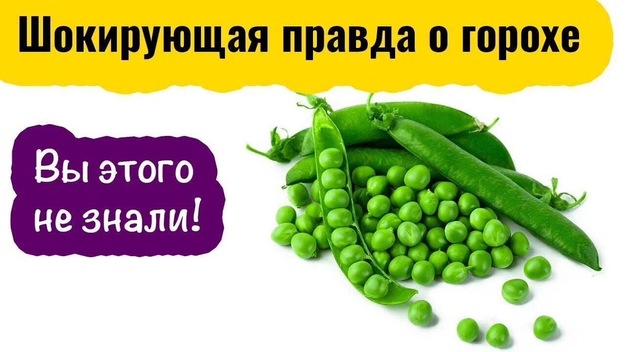 Полезные свойства гороха. Чем полезен горох. Горох польза. Организм гороха.