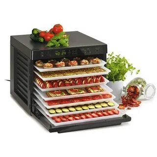 Какую сушилку для фруктов выбрать