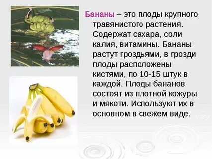 Слаще всех плодов плод человеческого труда значение