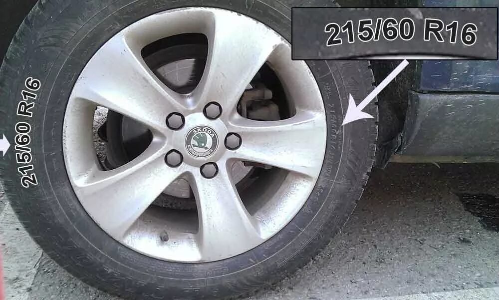 Шкода а5 размер шин. 21565 на шкода октавия а5 r16. шины 205 65 r16 octavia. колеса на шкода а5 215 55 р16. octavia 2156516.