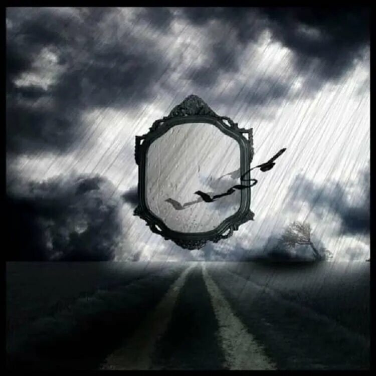 Ромашка с отражением. Фотосессия с отражением в зеркале. Зеркальная душа. Дверь сюрреализм. Отражение души.