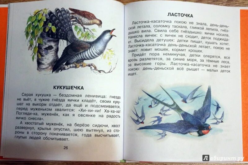 Пересказ рассказа ушинского. Книга Ушинского Ласточка. К.Д.Ушинский рассказы для детей Ласточка. К Д Ушинский Ласточка рассказ.