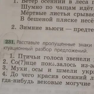 Вековые могучие корабельные сосны пунктуационный разбор предложения