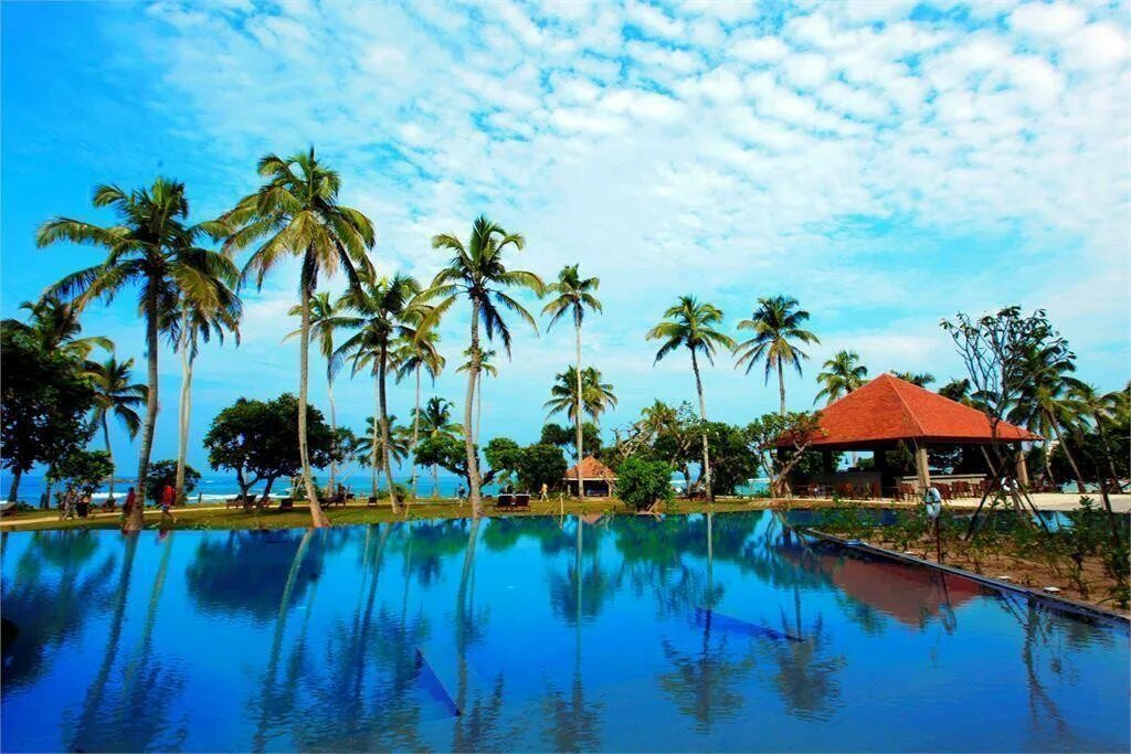 Москва шри ланка отдых. Hikka tranz шри ланка. hikka tranz by cinnamon шри ланка. хиккадува шри ланка отели. hikka tranz by cinnamon 4 шри-ланка хиккадува.