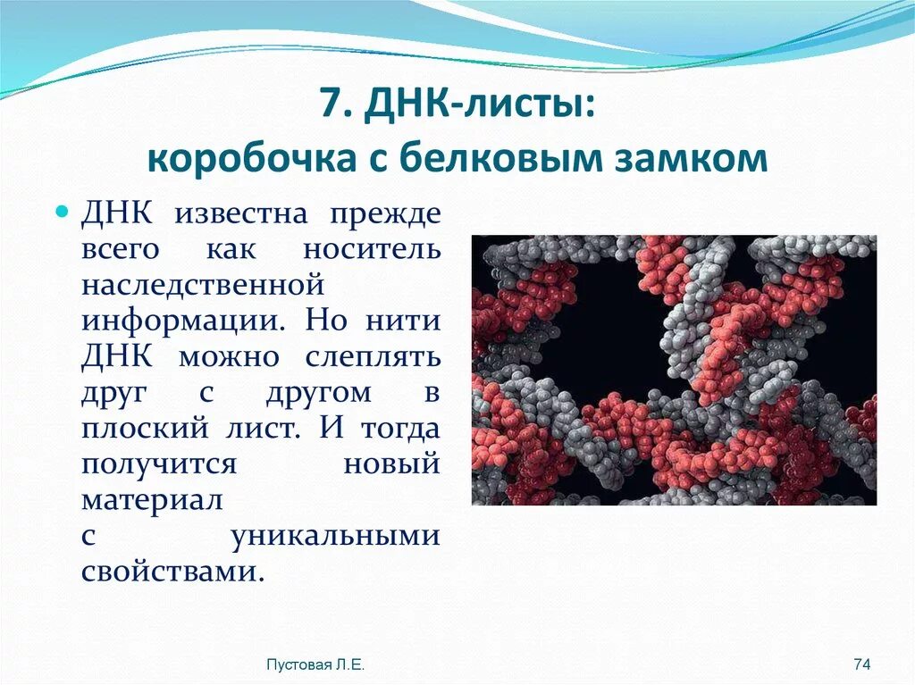 ДНК И листья. ДНК коробочки. ДНК носитель наследственной информации презентация 10 класс. ДНК листочки.