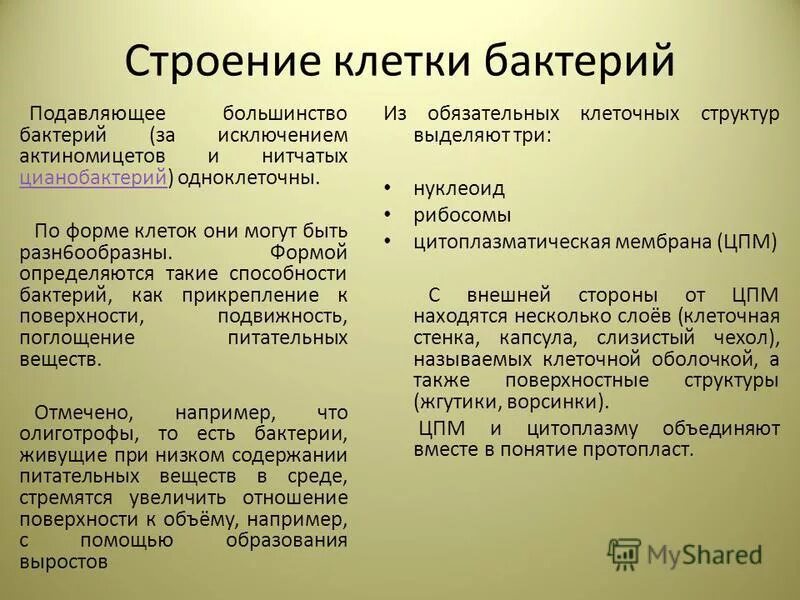 формы патогенных бактерий. условия жизнедеятельности микроорганизмов. формы размеры бактериц. реакция среды. полезные микробы.