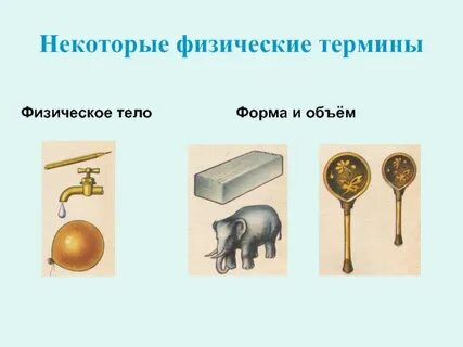 Что принято называть в физике физическим телом