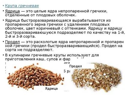 Гречиха условия