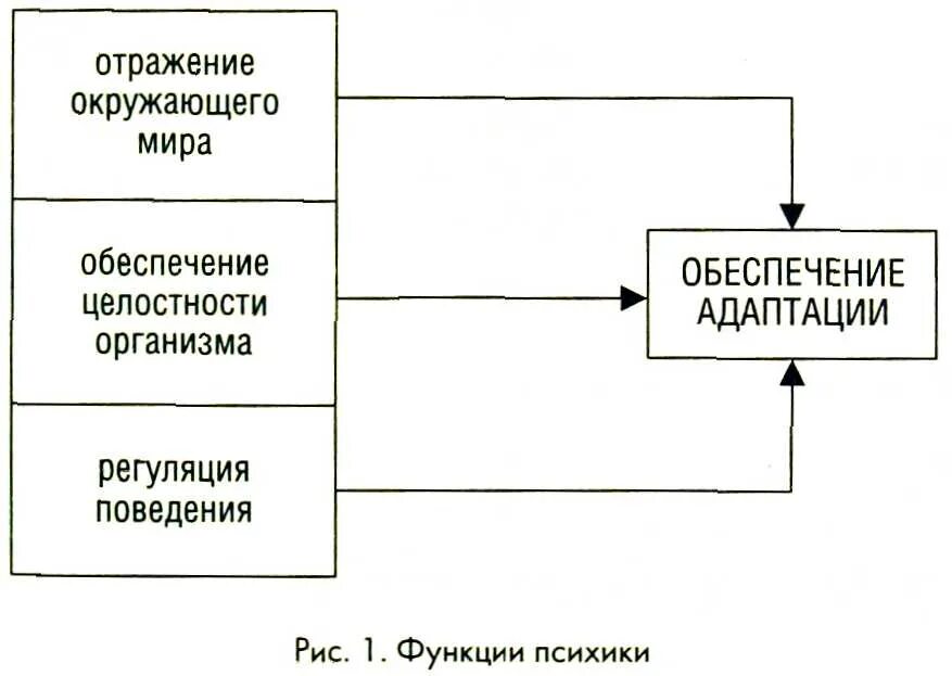 Категории отражения. Категория отражения в психологии. уровни отражения психики в психологии. уровни отражения. функции психики в психологии.