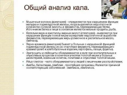 Амилорея