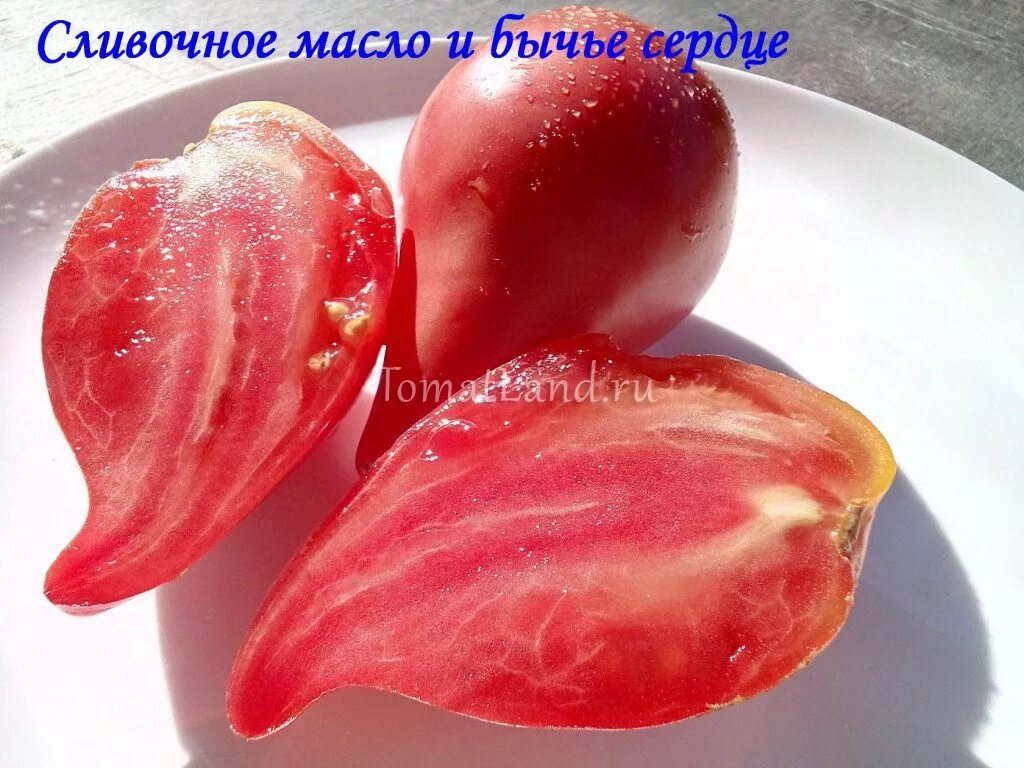 Эфирное масло томата. Бутерброды с творожным сыром. Томатное масло. Пани томат. Мясная паста и намазка.