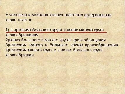 У млекопитающих артериальная