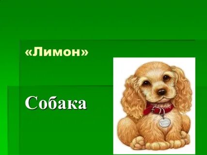 Пришвин лимон