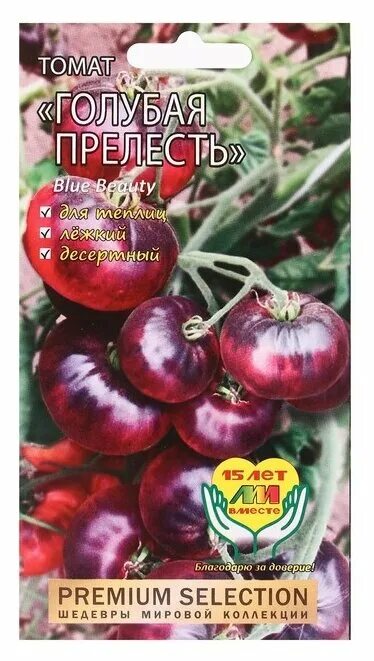 Томат синяя красавица (blue beauty). Томат голубая прелесть. Помидоры блу бьюти. Сорт томата голубая прелесть. Семена томат голубая лагуна гавриш.