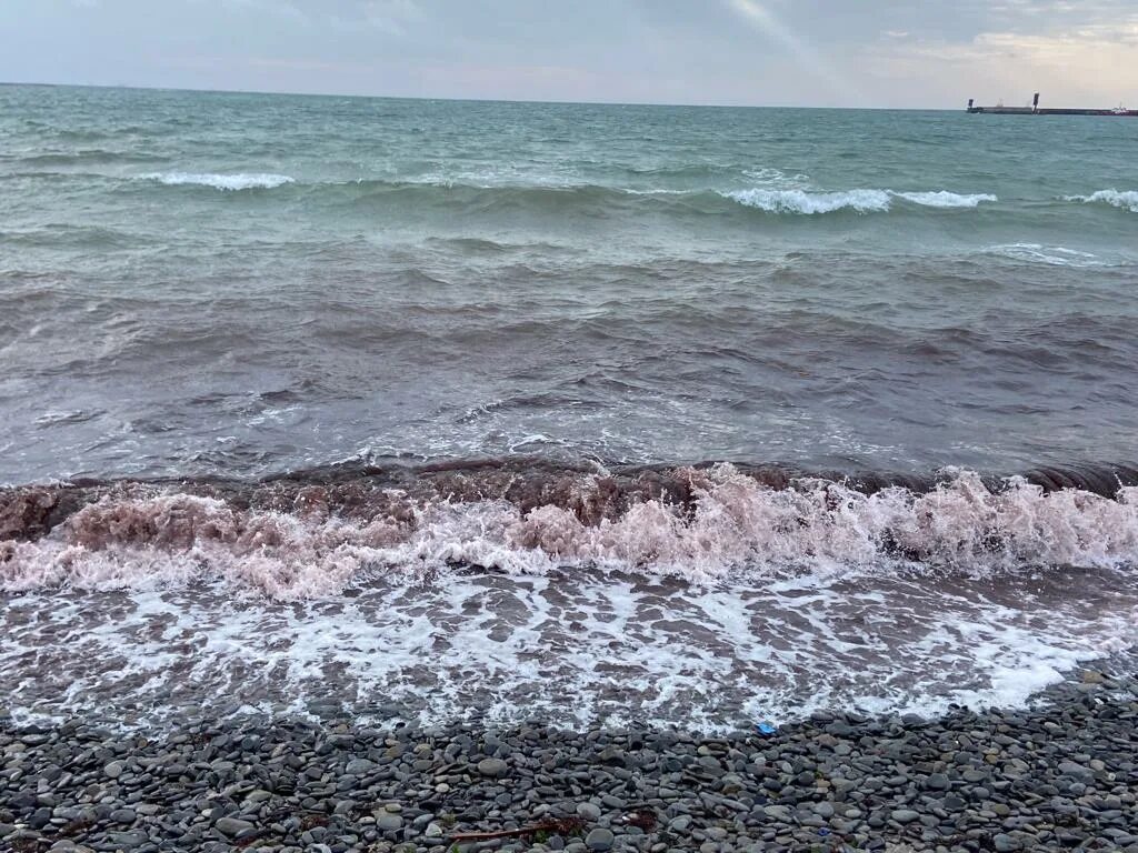 Когда вода прогреется в черном море 2025. Черное море новороссийск. побережье новороссийска. новороссийск в феврале море. красное море.