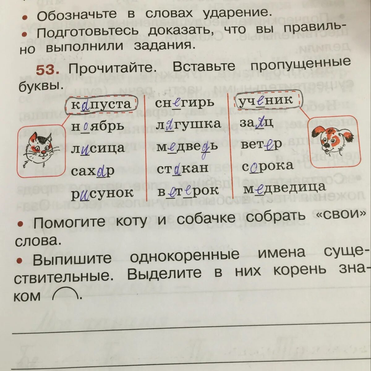 Прочитай по какому признаку можно объединить. Прочитайте вставьте в слова пропущенные буквы. Прочитайте. Прочитайте вставьте пропущенные. Помогите коту и собачке.