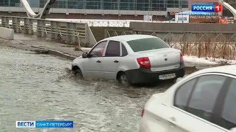Вести петербург видео